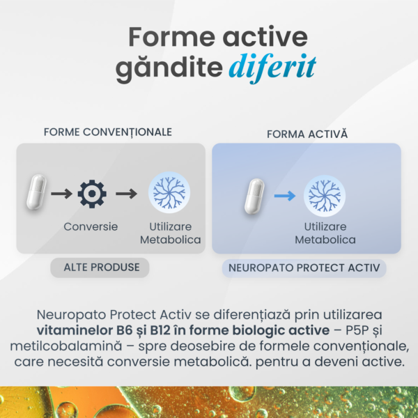 forme-active-vitamine-b-1